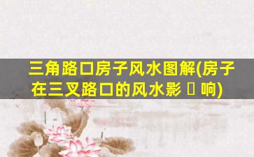 三角路口房子风水图解(房子在三叉路口的风水影 ☘ 响)